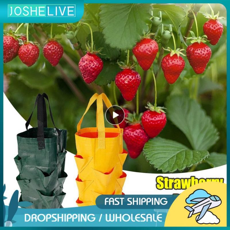 Reusable Planter Pot PE Growing Bags For Vegetable Flower Outdoor Planting Bag Hanging Strawberry Po