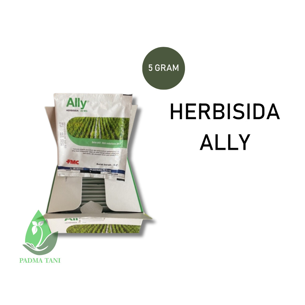 Herbisida ALLY 20WG 5gr Original FMC Metil Metsulfuron campuran roundup gramoxone