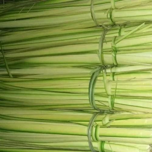 

READY STOKK Janur Mudah Atau Daun Kelapa muda Buat Lebaran 500Gram