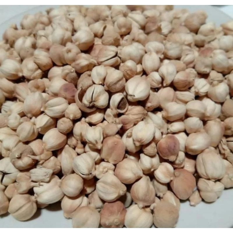 

Buah kapulaga kering 150 gram Rempah_herbalCo