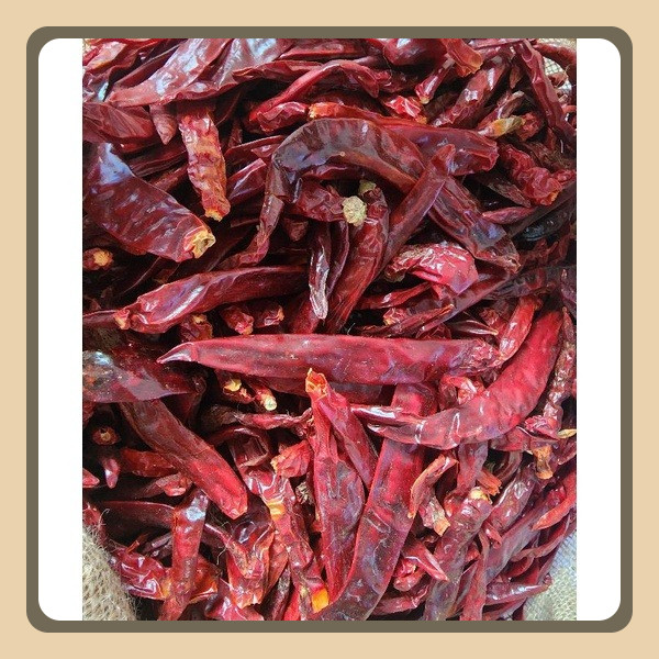 

Cabe besar tanpa tangkai 500 / Wonder hot / cabe besar