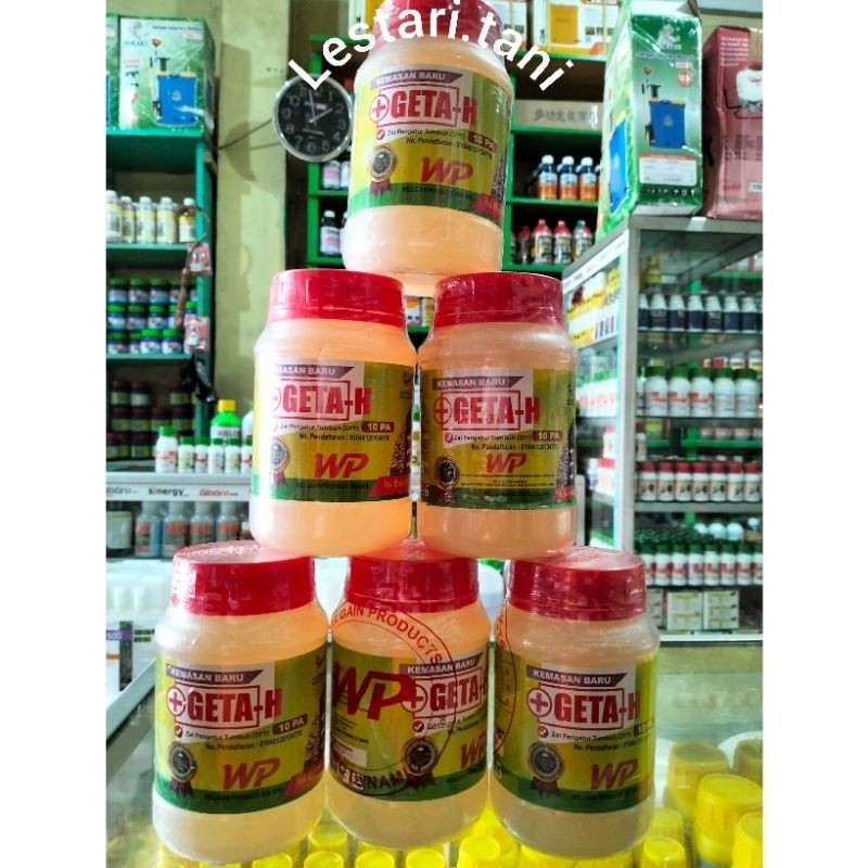 +GETA-H(10 pa)500 ml,zpt menambah produksi getah karet,warna putih