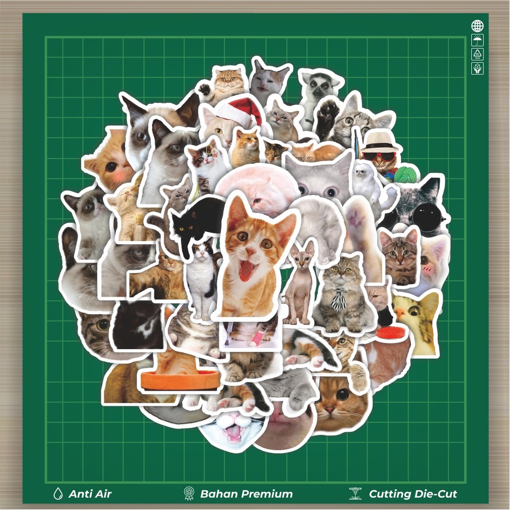 

HOT 50 PCS STIKER Stiker Hewan Funny Cat/Kucing Stiker Fashion Cars Decal Dingin Kartu Album Custom Vinyl Anti Air- Sticker Aesthetic Buku Journal Koper Casing HP Tablet Laptop Helm Motor Botol Minum