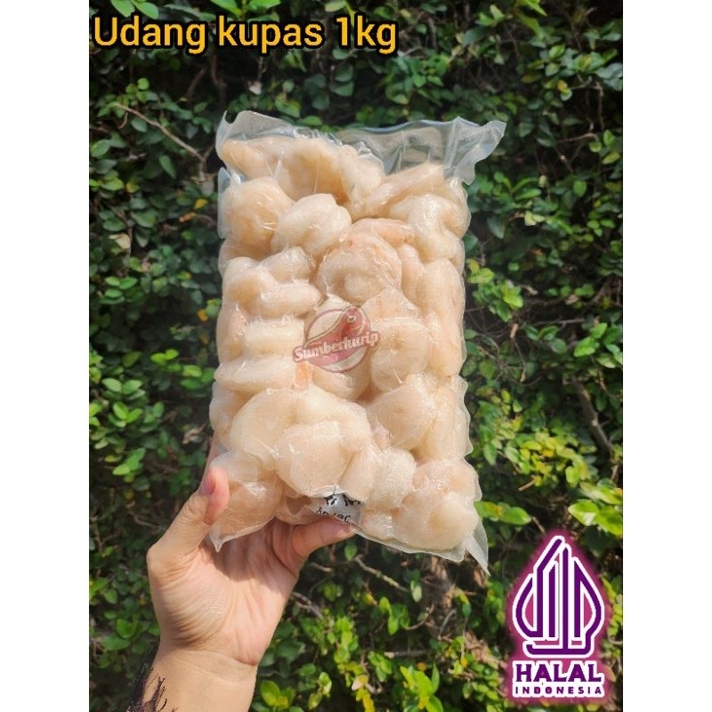 Udang Kupas Frozen Halal Besar Segar