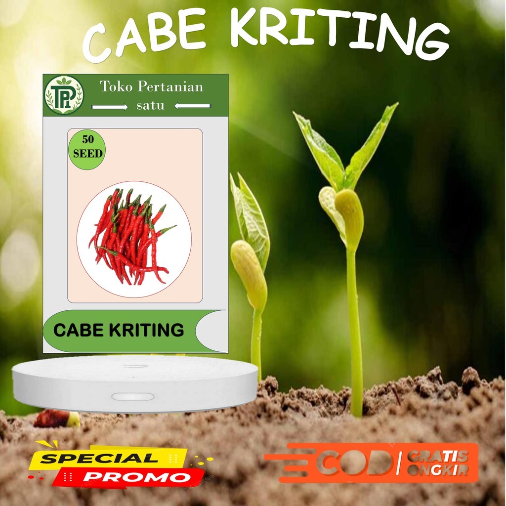 TP- Benih 50 Cabe Keriting F1 Buah Lebat Cepat Panen Tahan Penyakit -berkwalitas