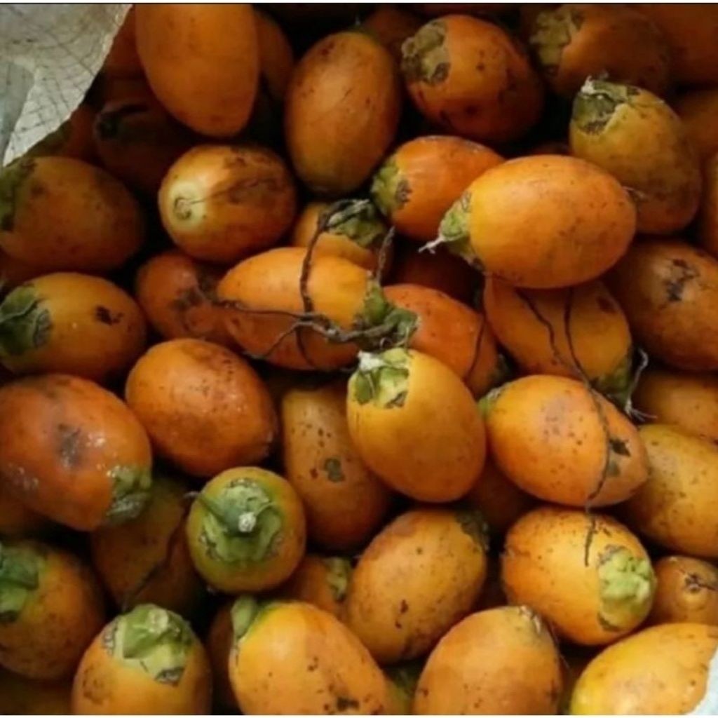 

buah pinang tua asli 100%/jame kampung kuning per 1 kg