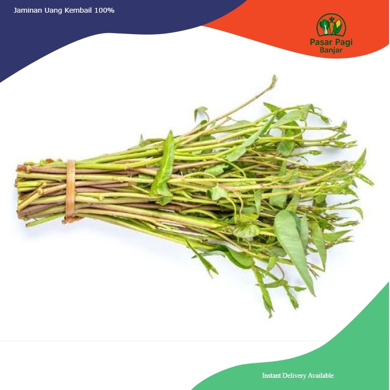 

Kangkung Kampung / Kangkung Air Segar