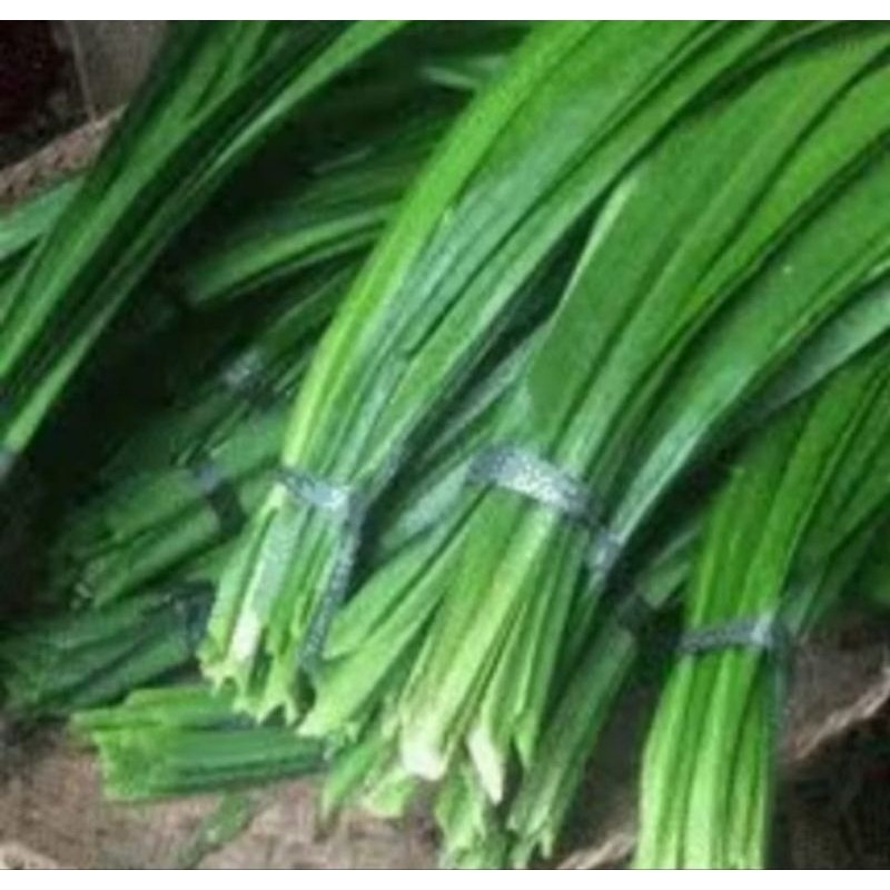 

Daun pandan wangi potong isi 40 lembar