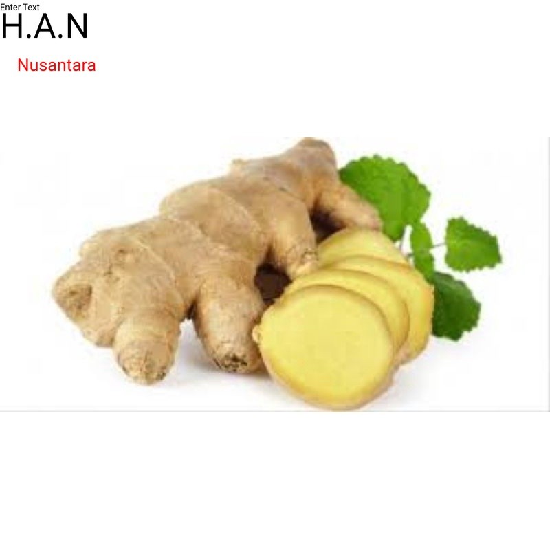 

Jahe gajah/jahe putih segar basah 1kg organik siap ambil ke kebun