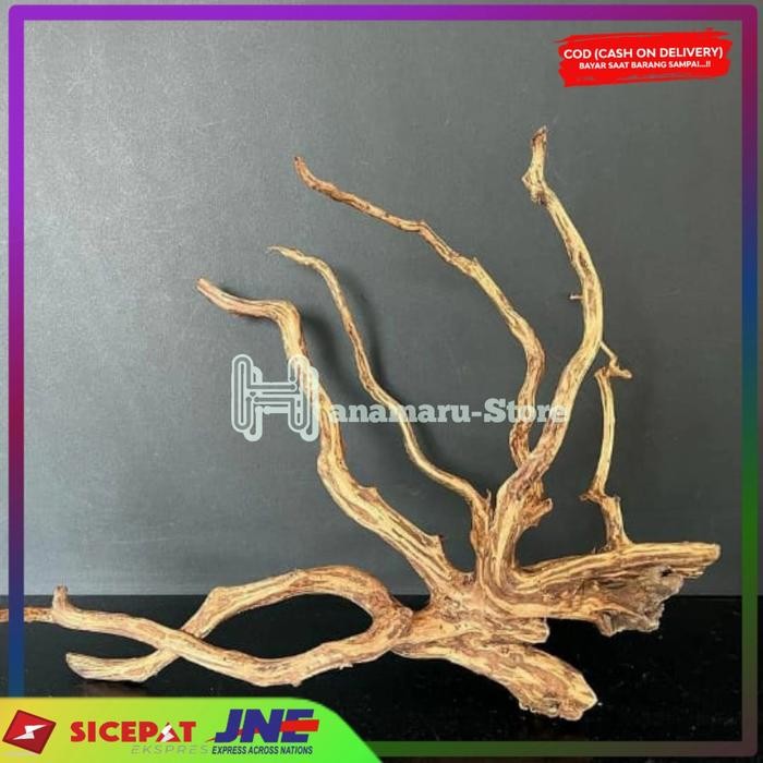 Akar Kayu Rasamala Aquascape/Aquarium