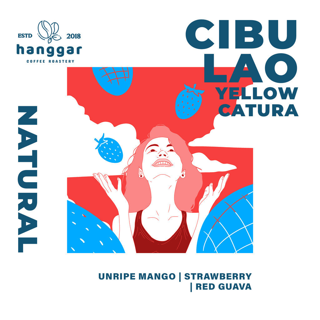 

CIBULAO YELLOW CATURRA Specialty Arabica Coffee - Hanggar Roastery