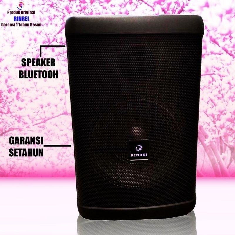 RINREI SPEAKER MEETING 12IN 2MIC SR 8899Q