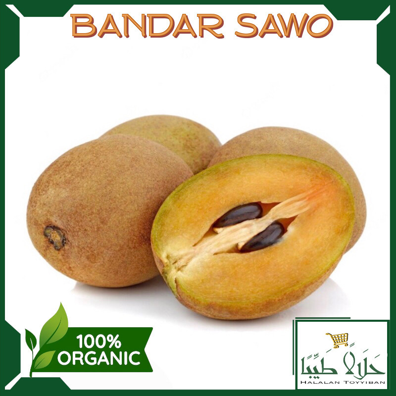 

BANDAR Buah Sawo 500Gram