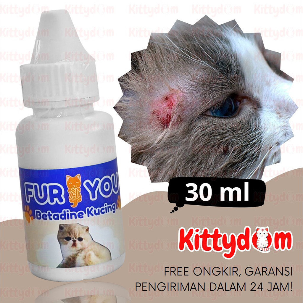 KITTYDOM Obat Luka Infeksi Kulit Jamuran Kucing Fur You Betadine Obat Luka Luar Basah Kulit Kucing