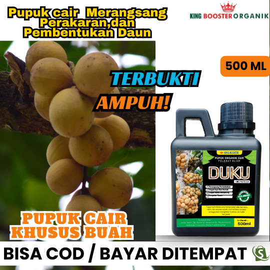 Pupuk Organik Cair Pelebat Buah Duku , Khusus Buah Duku Buah Langsat Booster Cair DUKU Melebatkan Se