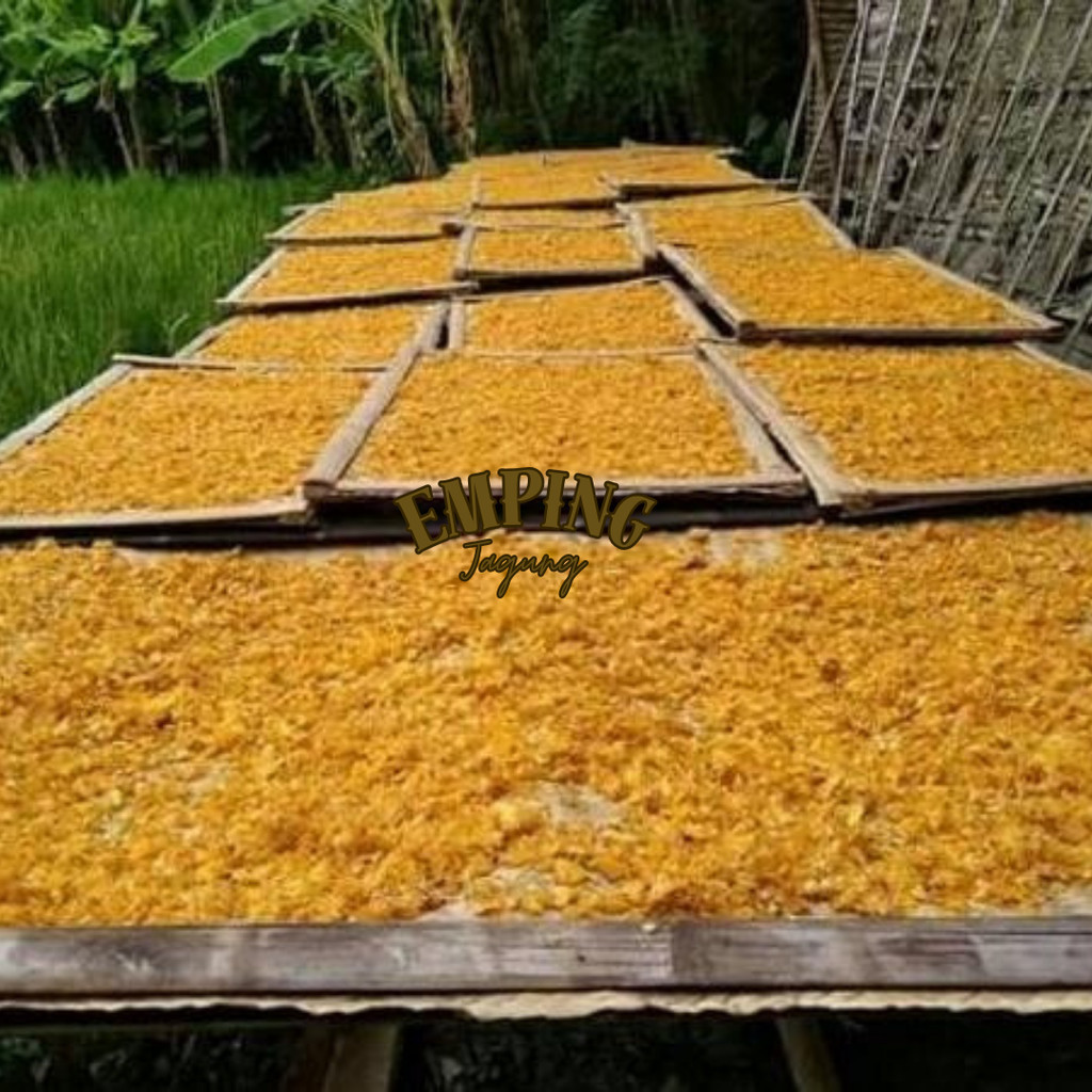 

PROMO emping jagung , emping pedas manis TERMURAH