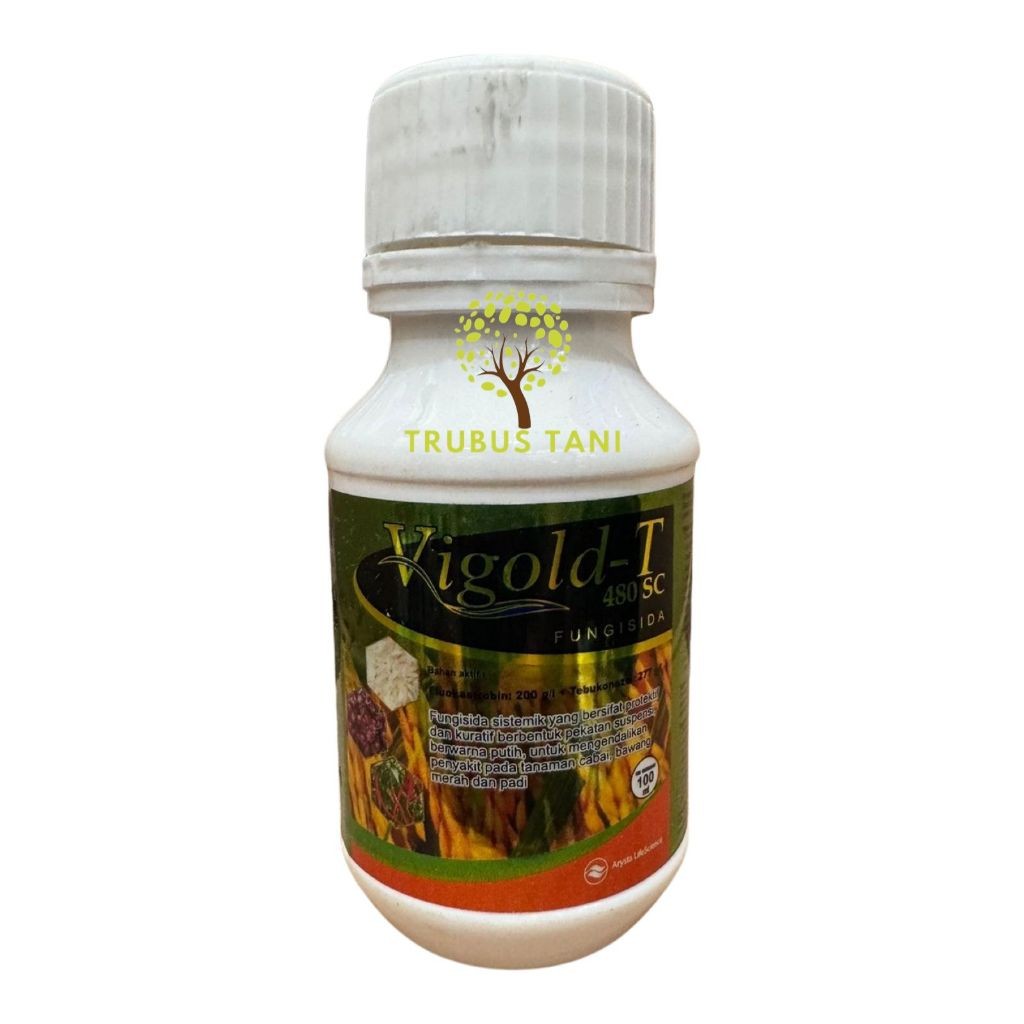 Fungisida VIGOLD-T 480SC Fungisida plus Pembesar popor Bawang Merah Fluokastrobin Tebukonazol
