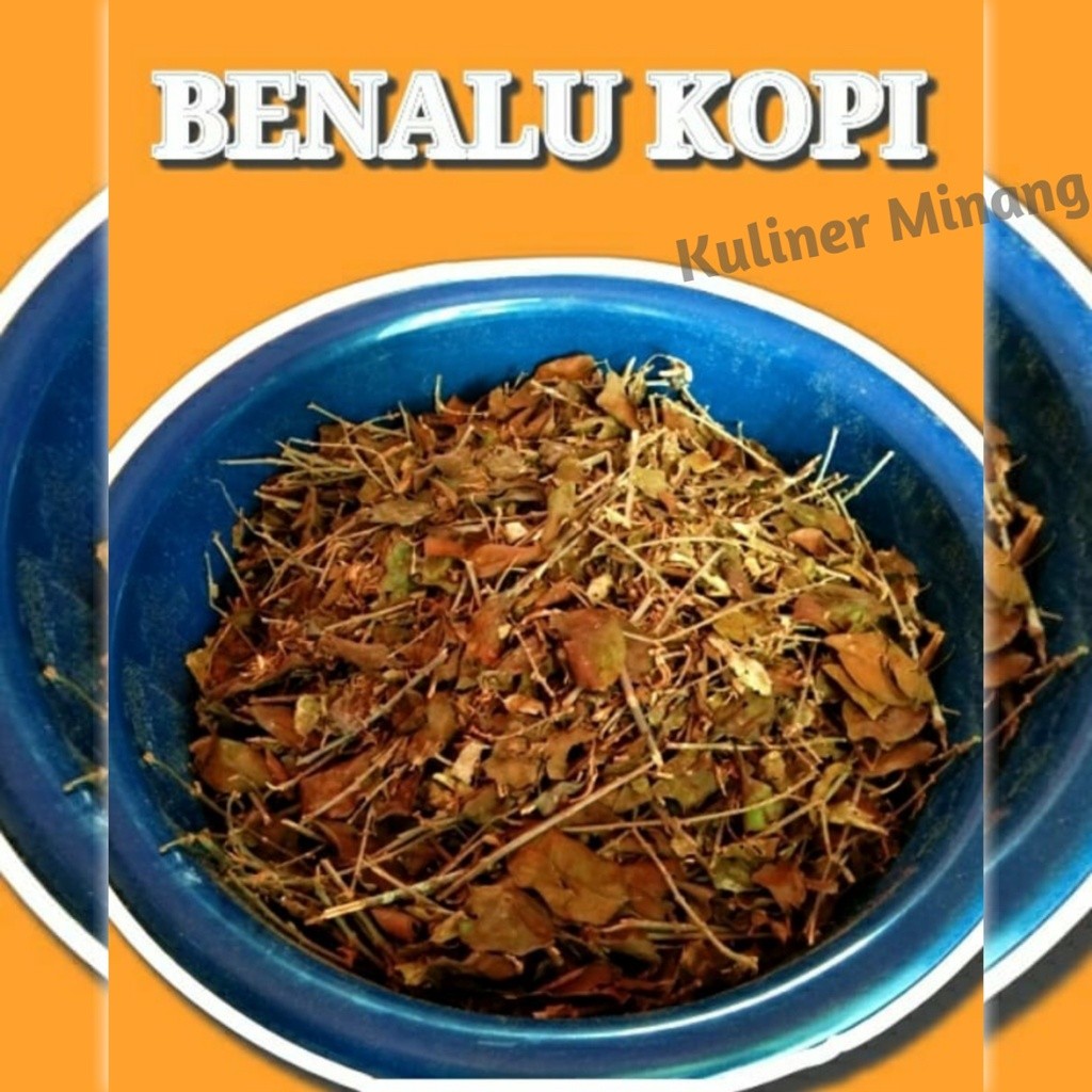 

Kuliner Minang Herbal Teh Pahit Daun Benalu Kopi Asli lengkap dengan Mahkota Dewa, Keji beling, Kumis Kucing, Empedu Tanah, Pasak Bumi, Daun Gambir Murni Oleh-Oleh Cemilan Makanan Khas Payakumbuh Padang Asli 100gr Pnyembuh Alami Jajanan Snack Kabau AX00