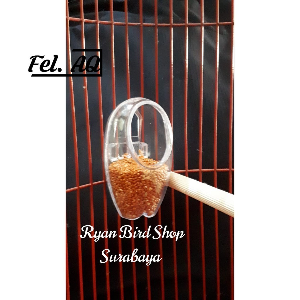 CEPUK FULL OVAL TEMPAT MAKAN DAN MINUM BURUNG DENGAN TAMPILAN UNIK MURAH BERKUALITAS