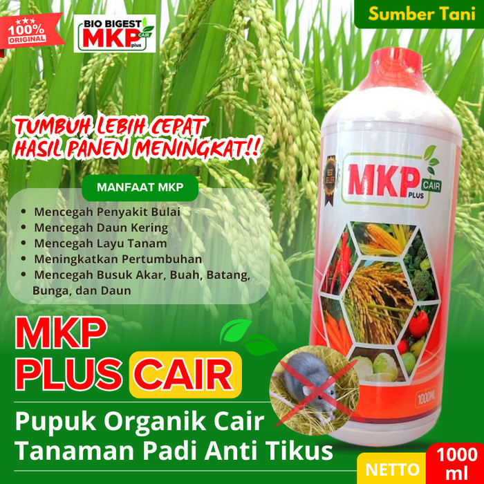 SUTAN Pupuk MKP Penyubur Tanaman Padi Pengusir Tikus Ampuh POC Penyubur PADI