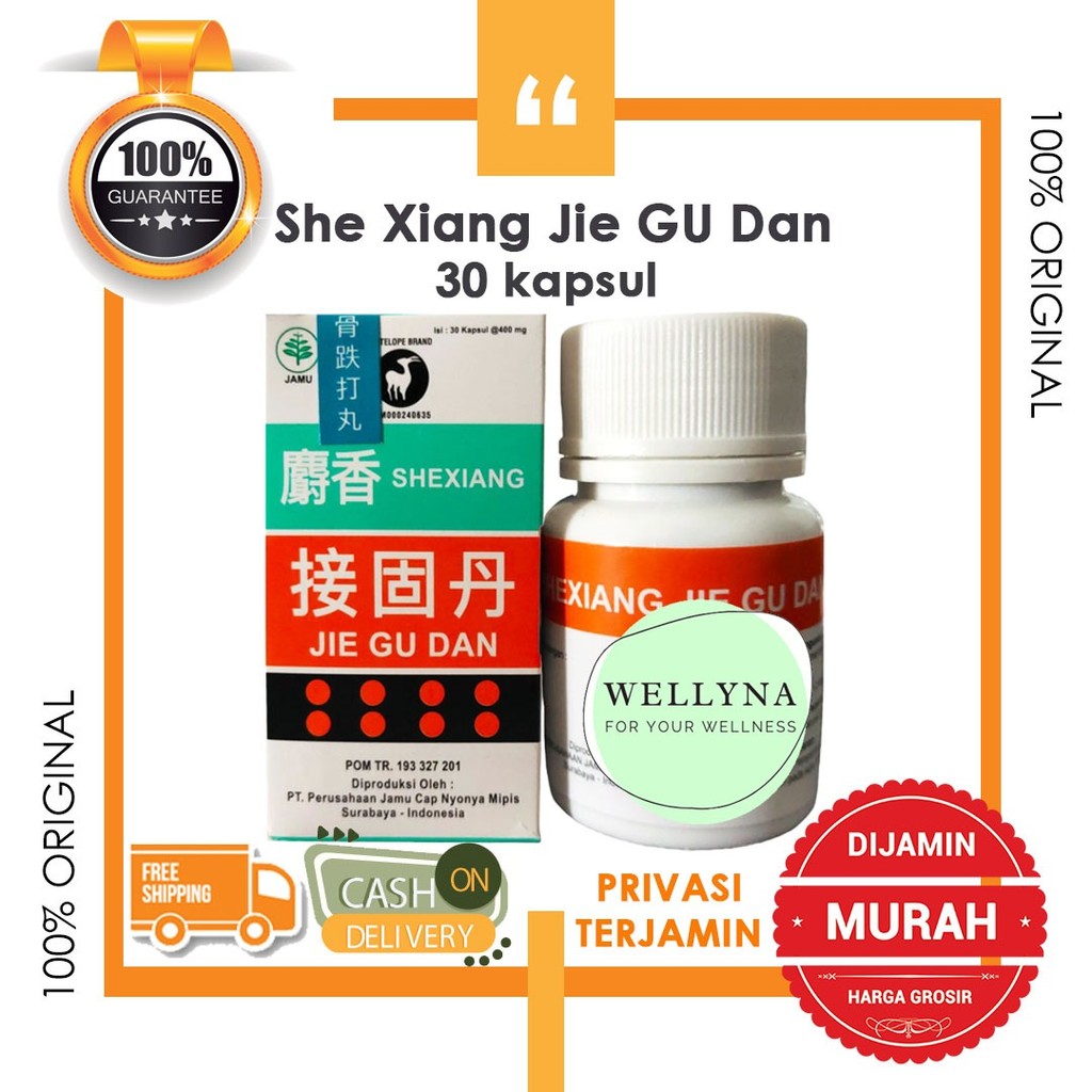 ☘️Wellyna☘️ SheXiang Jie Gu Dan Wing Ku Tan Sejenis Bonkap - Obat herbal untuk meredakan nyeri dan m