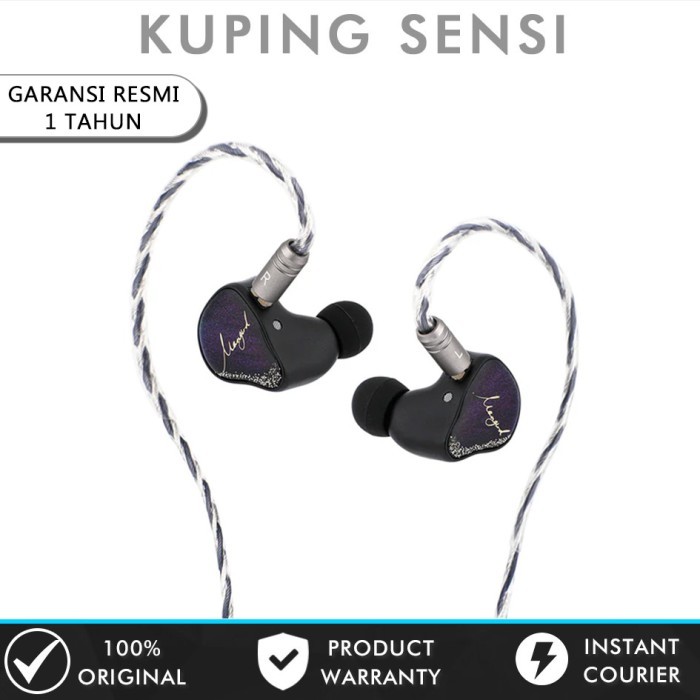 XENNS Mangird Tea Pro Precision Tuning 2DD+6BA Hybrid In Ear Monitor Earphone