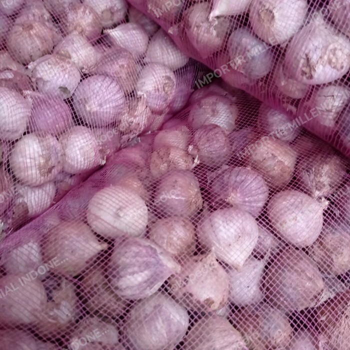 

Bawang Putih Tunggal / Lanang - 1 KG JUMBO