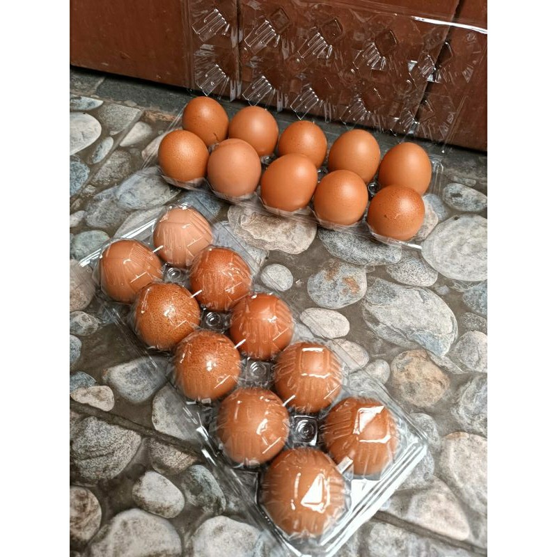 

Telure Omega Asli Telur Ayam Omega-3 isi 10 Butir