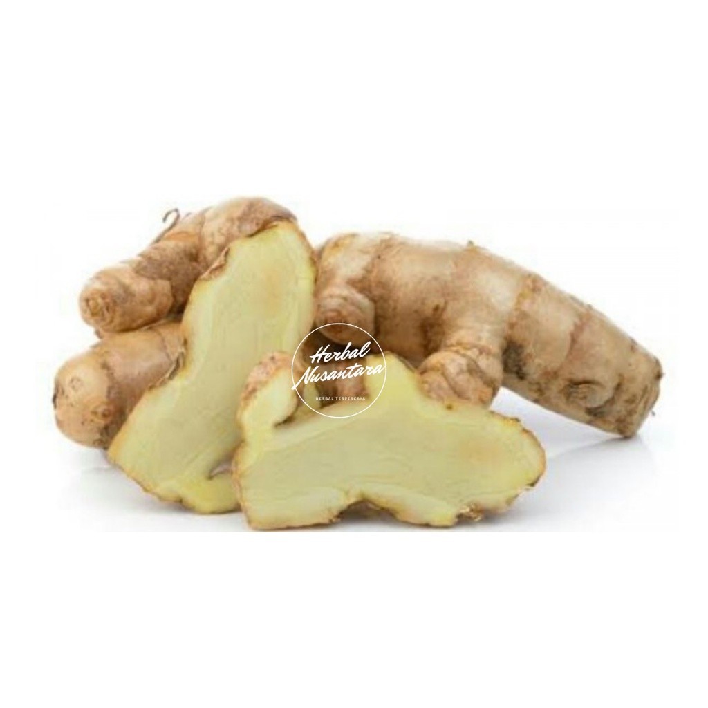 

Kunyit Putih 1kg / Kunyit Kunir Temu Putih Asli Ori
