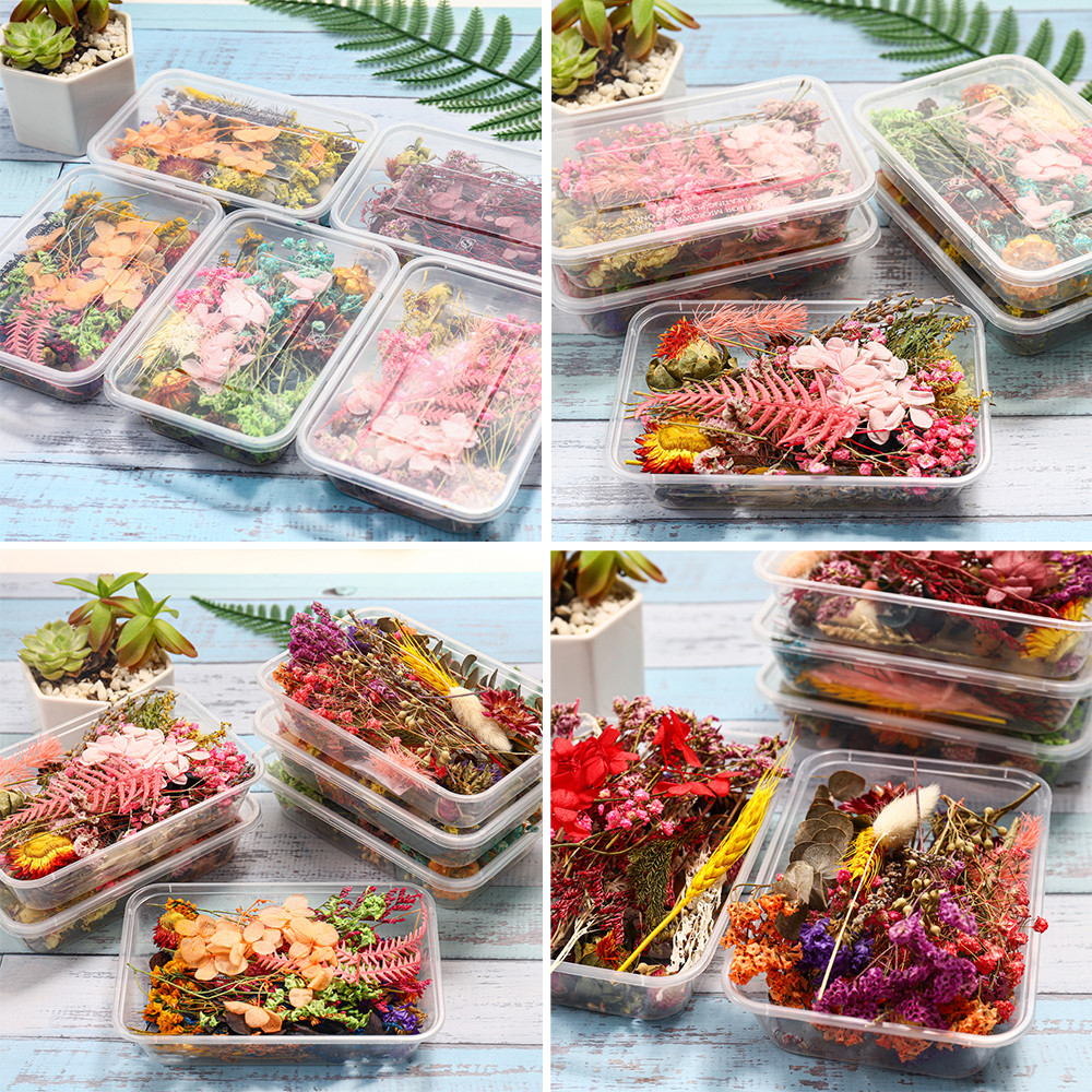 

1Box Real Dried Flower Dry Plants For DIY Epoxy Resin Necklace Pendant Jewelry Making Craft Aromatherapy Candle Accessories