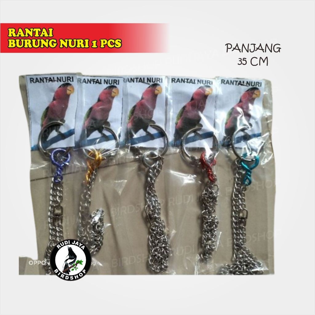 SEDIA RANTAI BURUNG NURI 1 PCS TALI KAKI BESI BURUNG NURI PANJANG 35 CM IKAT BURUNG PARUH BENGKOK