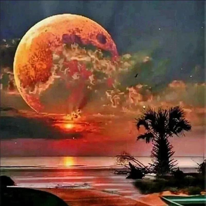 

22396-Tulip diy digital oil painting acrylic flower painting explosion hand-filled landscape painting