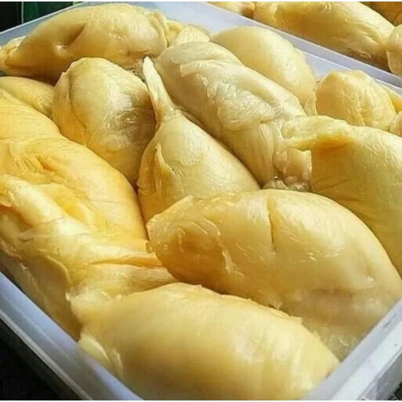 

Termurah!!! Durian Sibolga Medan Berkualitas Premium