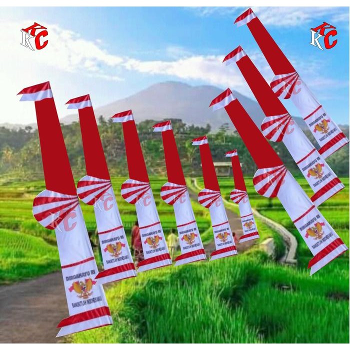 

add l UMBUL UMBUL TERBARU UMBUL UMBUL BANDIR TEBARU BANDIR PELANGI 3.1METER - MERAH PUTIHl