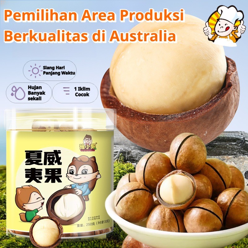 

⚡PREMIUM SNACK⭐ Kacang Macadamia - Renyah Grade A / Hazelnut Kacang Kemasan Kaleng Rasa Susu Ukuran Besar Tekstur Renyah Kacang / Camilan Sehat Low Carb✨
