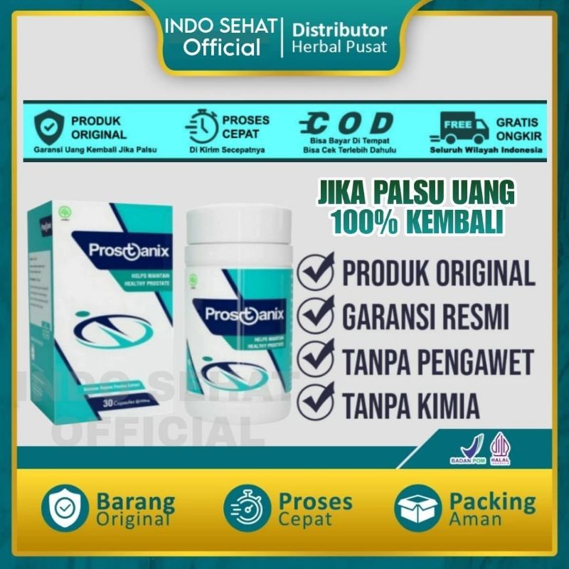 PROSTANIX Asli Original Obat Herbal Prostat Resmi BPOM