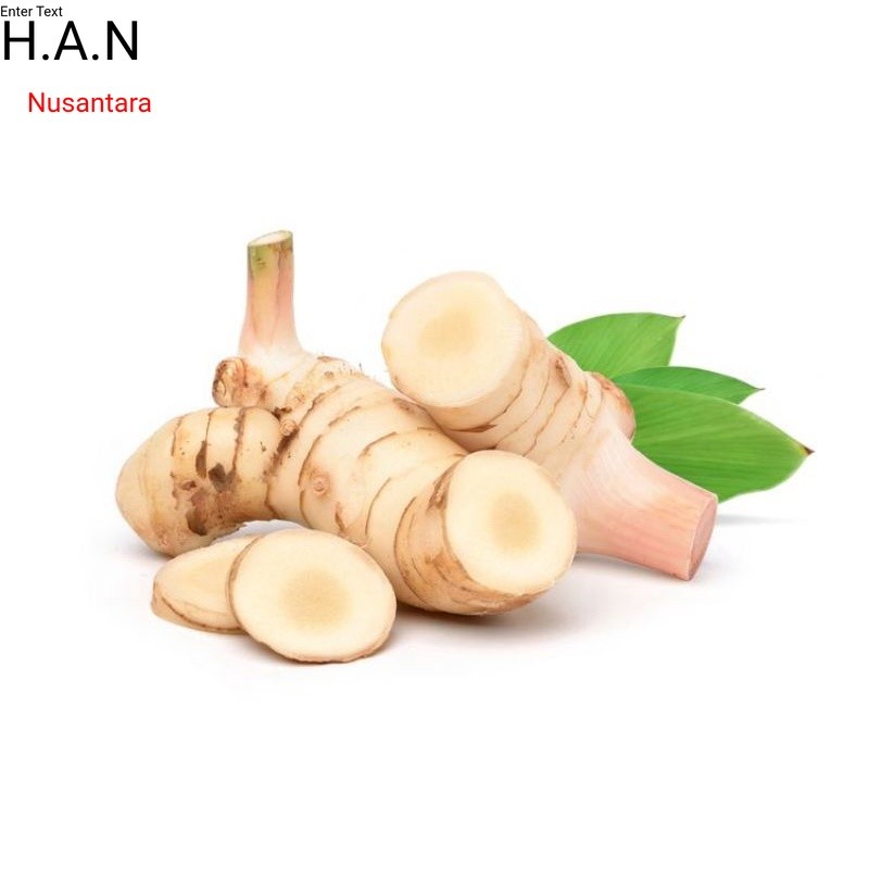 

Umbi lengkuas basah segar 1kg laja gowah jahe alas hutan