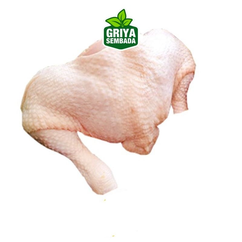 

PAHA AYAM UTUH / CHICKEN LEG BONE IN Griya Sembada