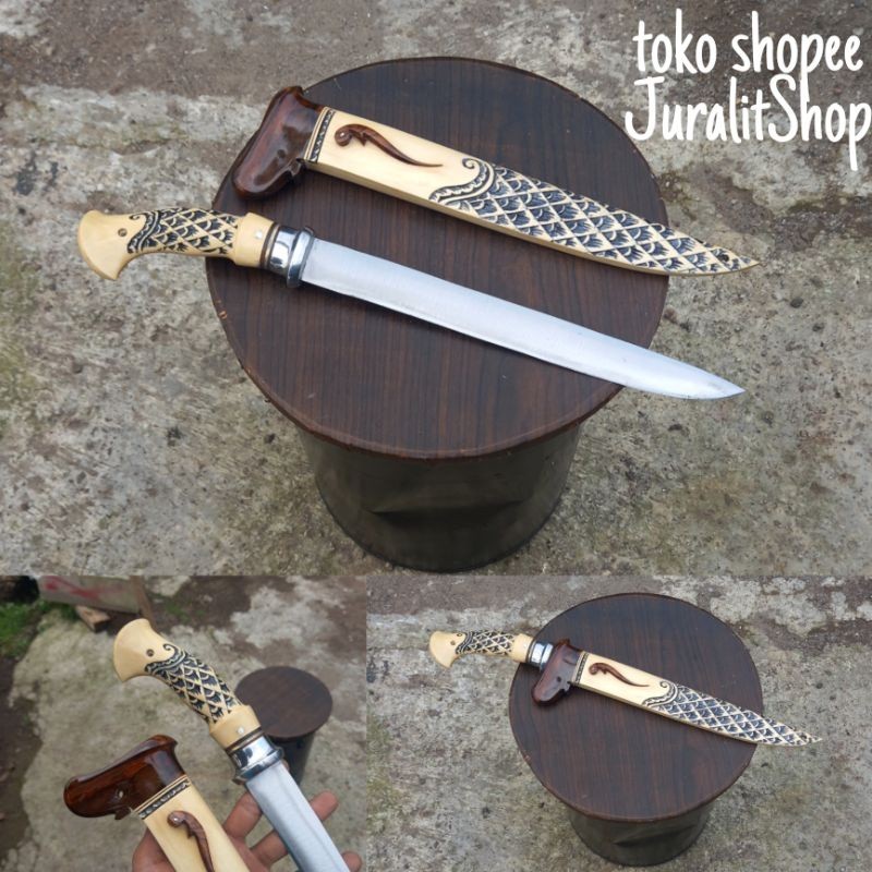 TERLARIS GOLOK SEMBELIH CIBATU GOLSEM