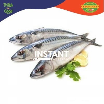 

DE SAYOOR FRESH - IKAN TENGGIRI SEGAR 500 GR PREMIUM