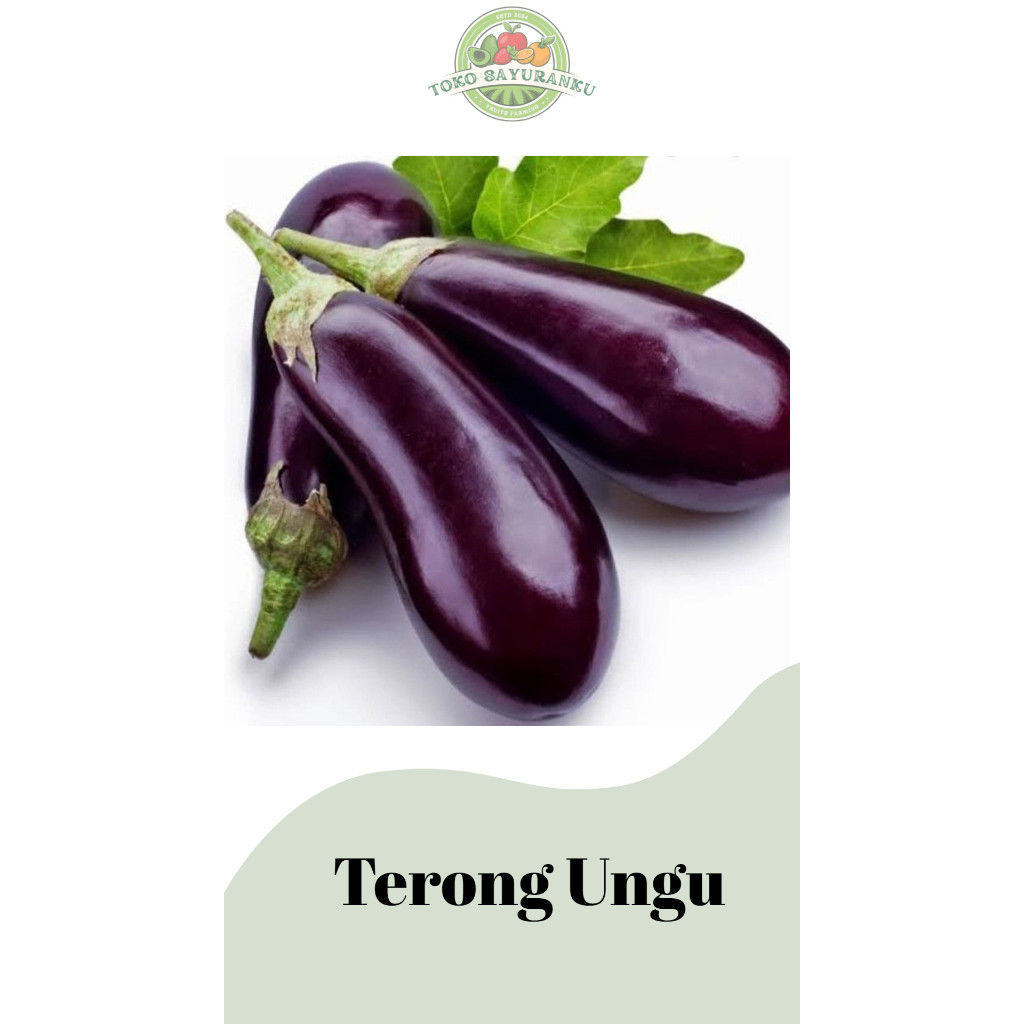 

Terong Ungu 500gram Cimahi