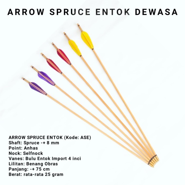 (ASE) Arrow Spruce Bulu Entok Dewasa & Anak