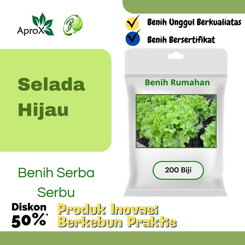 Benih Selada Hijau Sayur Sayuran Selada Hidroponik Bibit Tanaman Sayur Rumah Segar