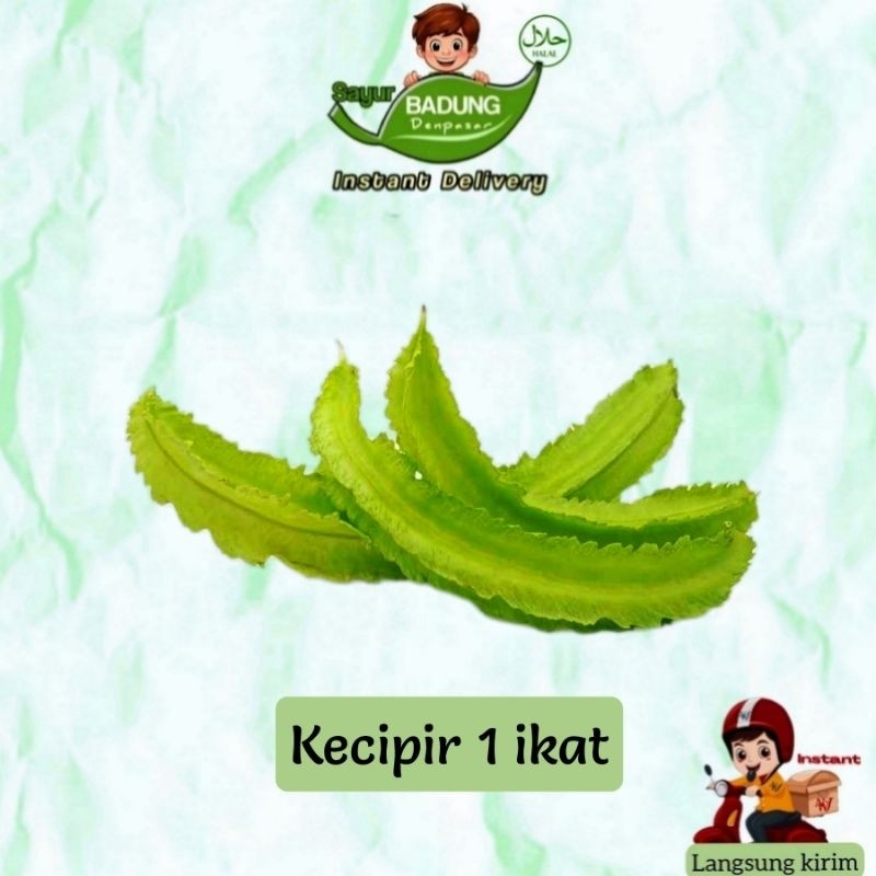 

New Sayur Kecipir 1 ikat _ BadungPremium