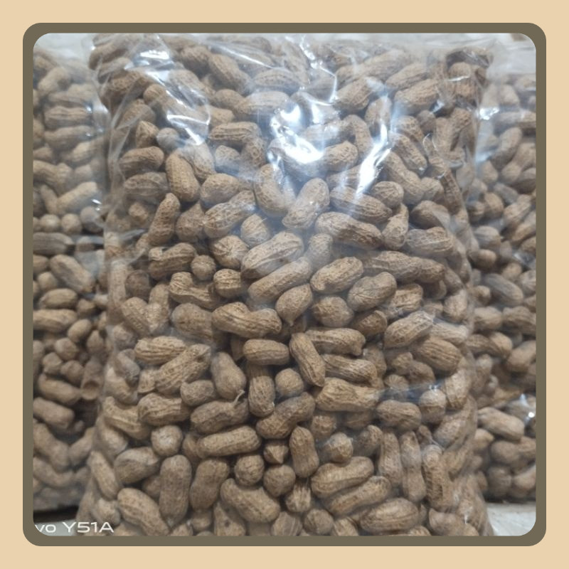 

KACANG KULIT SANGRAI MADURA Super Enak gurih renyah 1kg