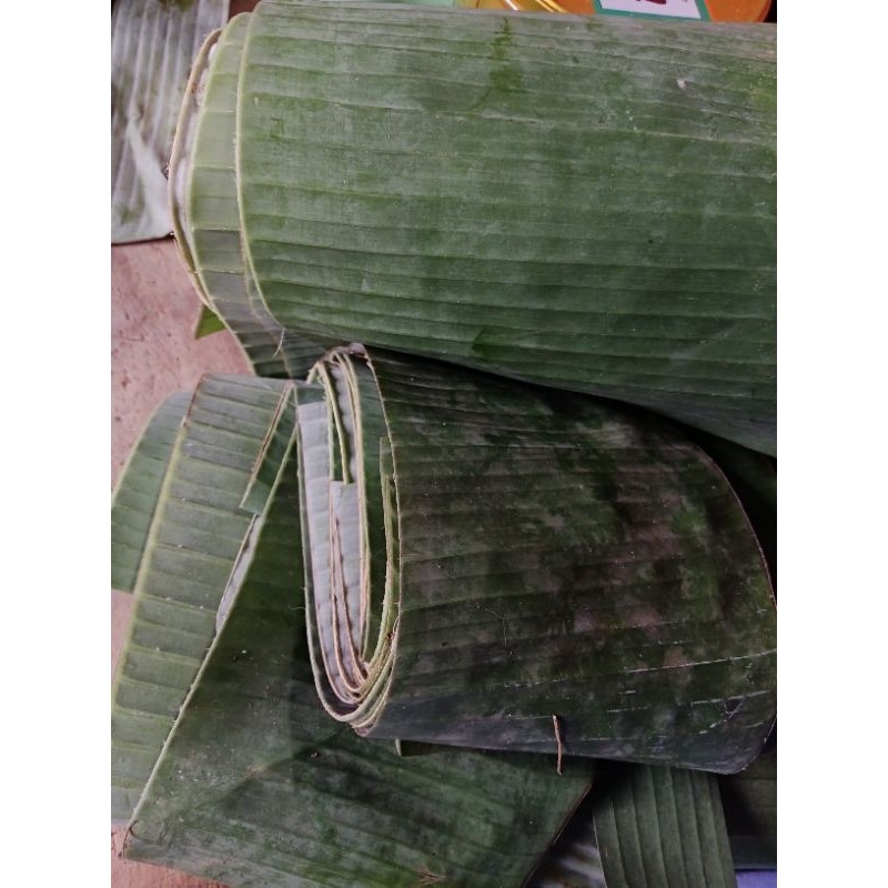 

Daun pisang segar buat bungkus nasi 1 kg Rempah_herbalCo