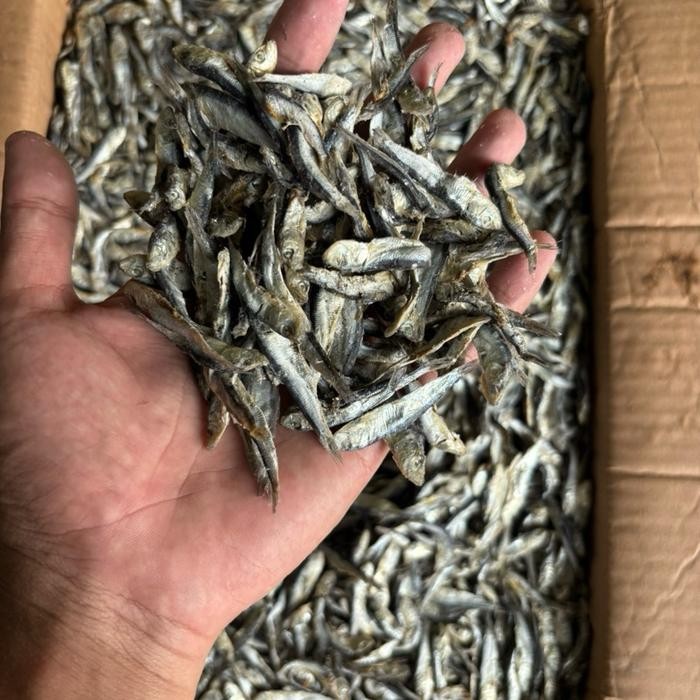 

Teri Batu / Teri Samenit / Teri Hitam 1000gr