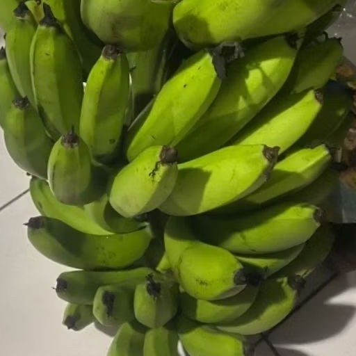 

Buah Pisang Mentah PPR BufPol Pisang Bangkaulu Fresh