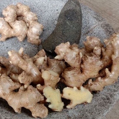 

Jahe Emprit Super 1 Kg Segar Pedas Tua