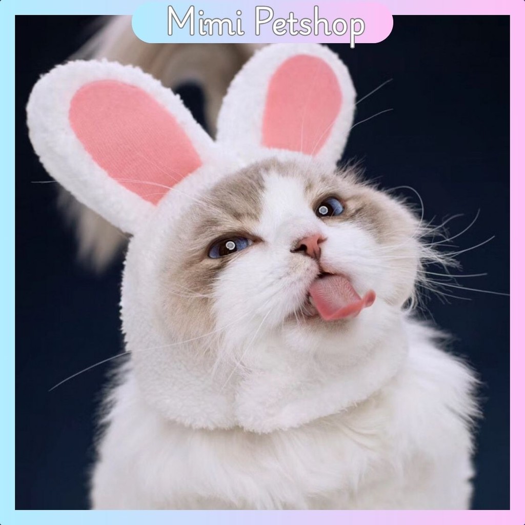 MIMI - TOPI SINGA Bear Beruang Panda Pet Cat Dog Hat Bunny Topi Beruang Untuk Anjing Kucing Bando Ka